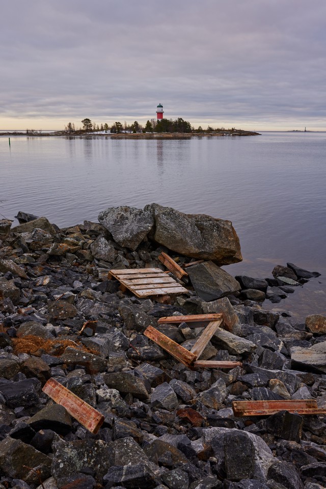 Canon RF 24-50mm_11w.jpg