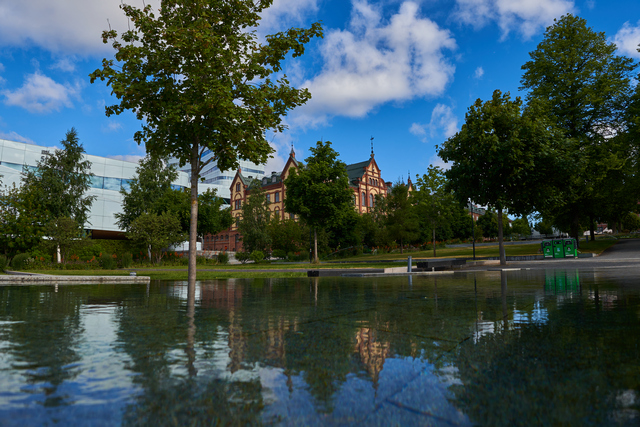 Sony 15mm f1.4_10w.jpg