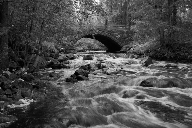 Voigtländer 35mm f1.2_11w.jpg