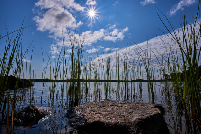 Tamron 11-20mm_4w.jpg