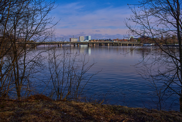 Sigma 28-70 DN_19w.jpg