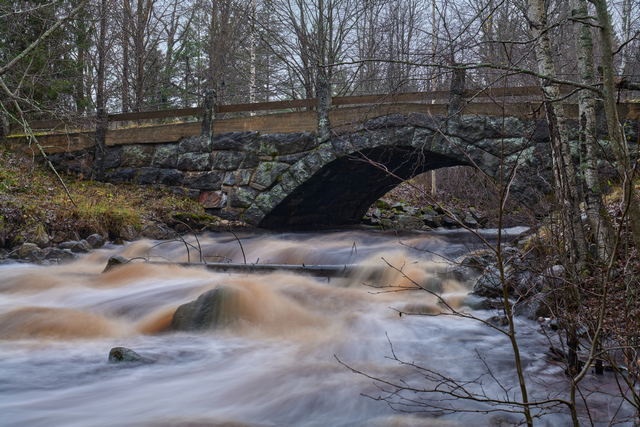 Panasonic S 50mm f1.4_8w.jpg