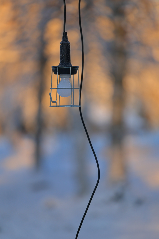 Canon EOS R3_38w.jpg