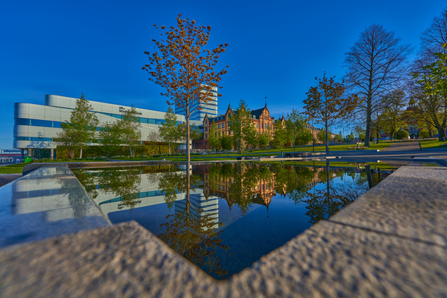 Sony 14mm f1.8_9w.jpg