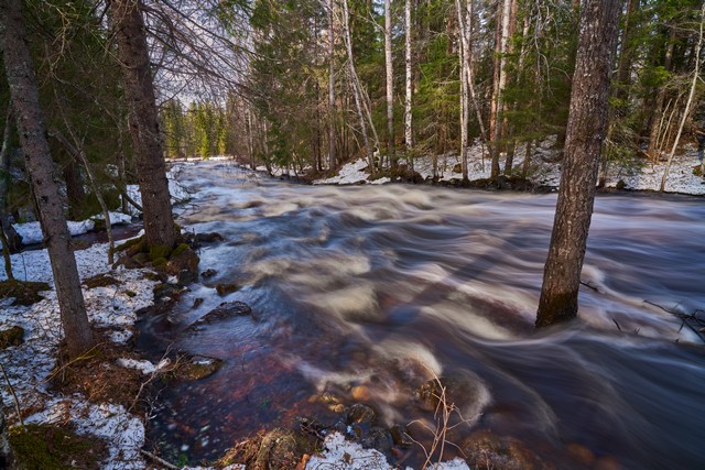 Sigma 17mm f4_2w.jpg