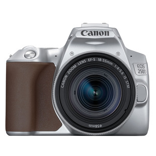 EOS 250D hus, silver + EF-S 18-55mm f/4-5,6 IS STM  