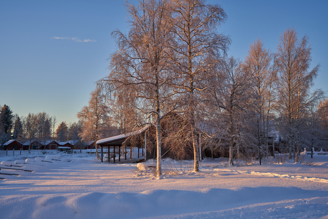 Tamron 20-40mm_28w.jpg