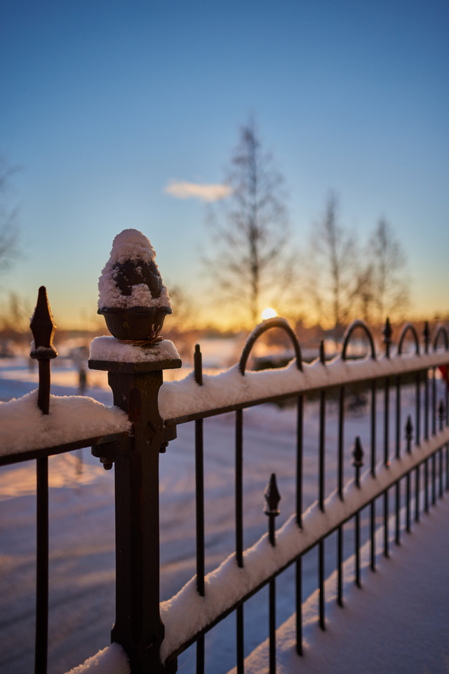 Canon RF 24mm f1.8_13w.jpg