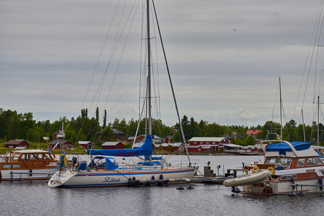 Laowa 100mm macro_10w.jpg