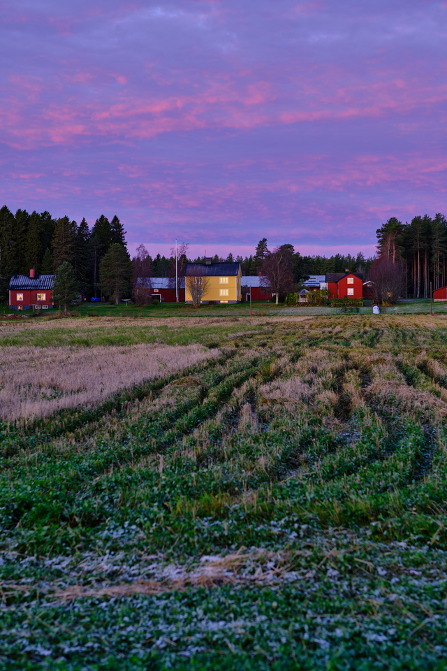 Fuji XF 50 f1_8w.jpg