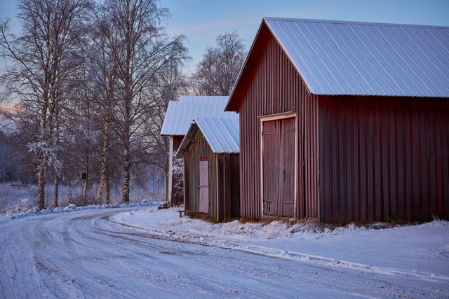 Canon RF 85_1,2 L USM DS_8w.jpg