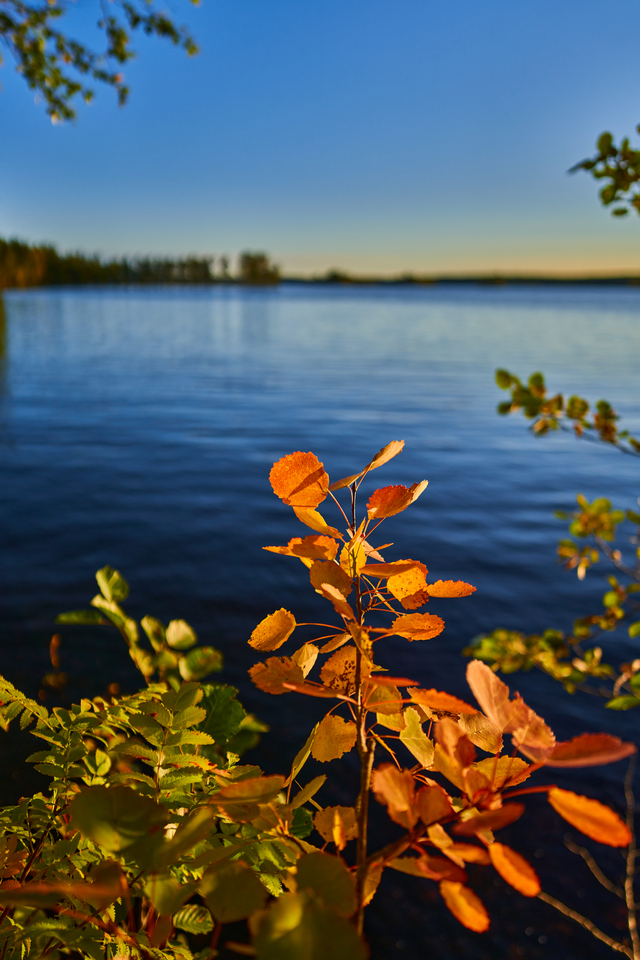 Sigma 24mm f2 DN_32w.jpg