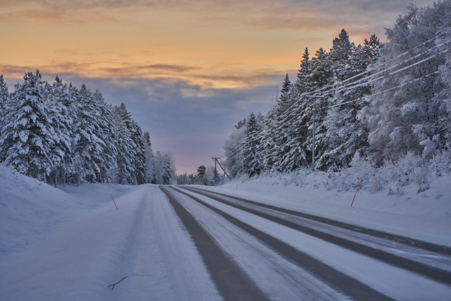 Laowa 85mm macro_14w.jpg