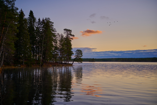 Nikon Z 40mm f2_20w.jpg