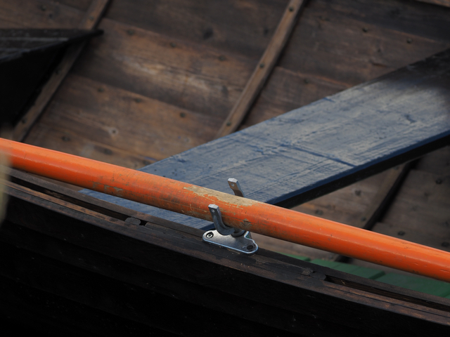 Olympus E-M10 IV_5w.jpg