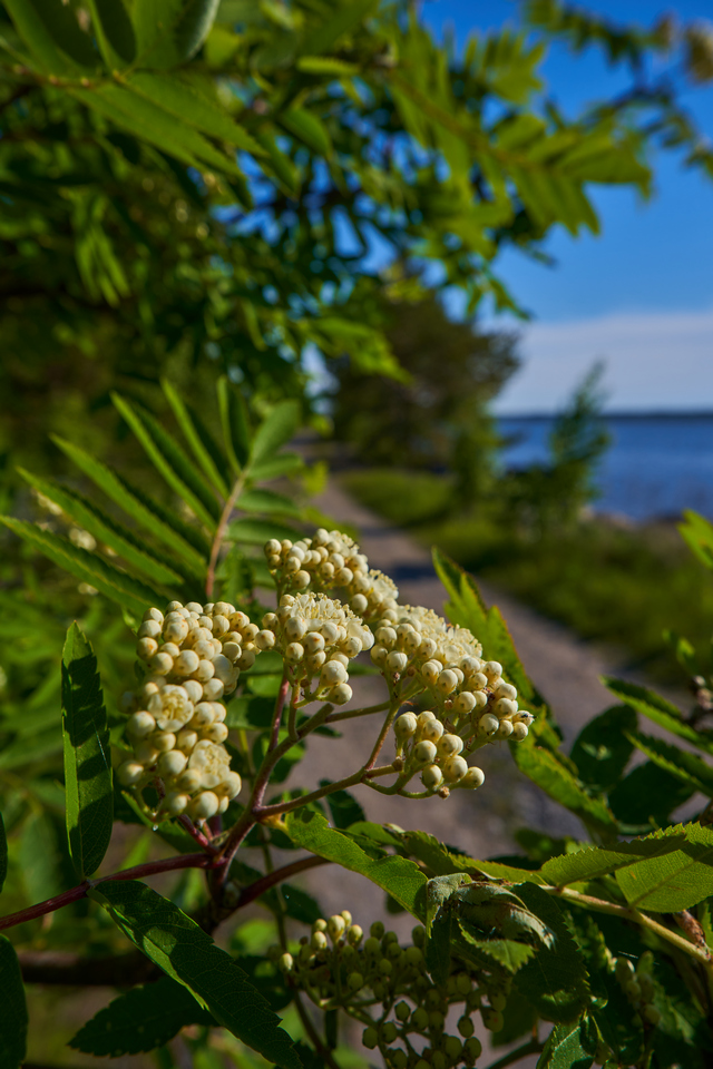 Sigma 16-28 f2.8_16w.jpg