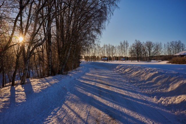 Nikon Z 26mm f2.8_1w.jpg