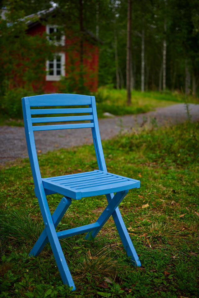 Nikon Z 50mm macro_22w.jpg