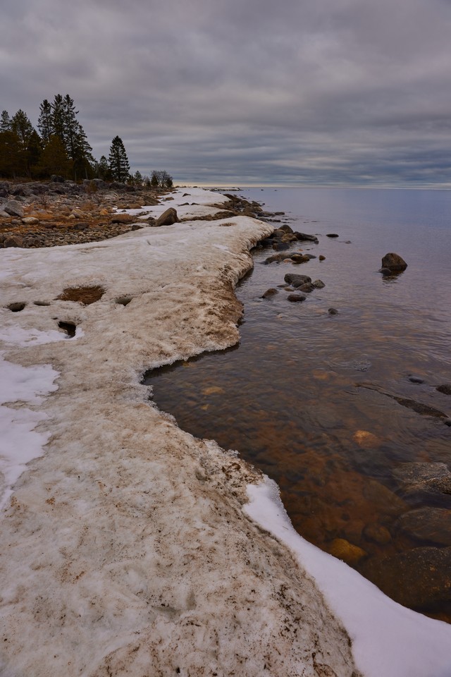 Canon RF 24-50mm_16w.jpg