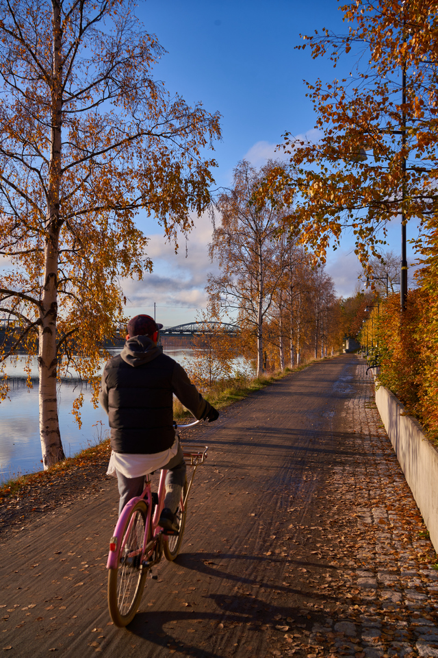 sony_fe_35_f1 8_8w.jpg