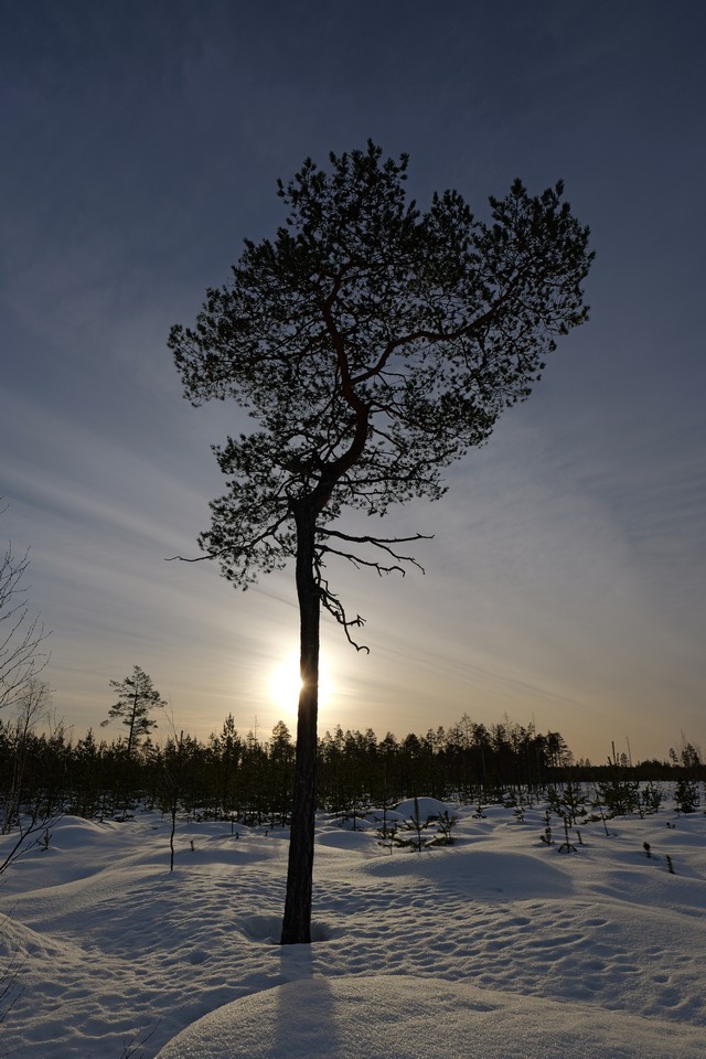 Panasonic S5 II_13w.jpg