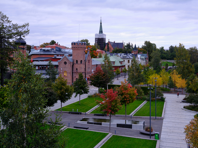 Fujifilm GFX 50s II_2w.jpg