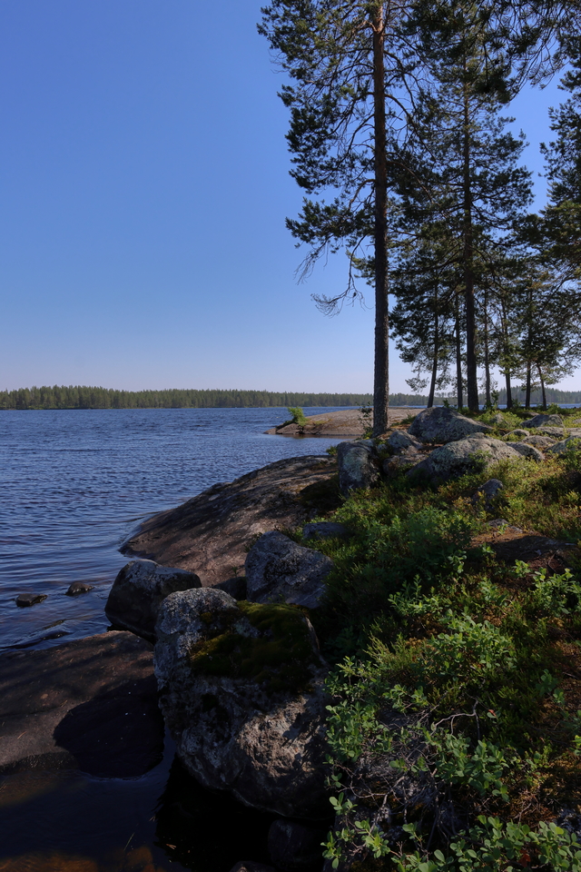 Canon EOS R7_17w.jpg