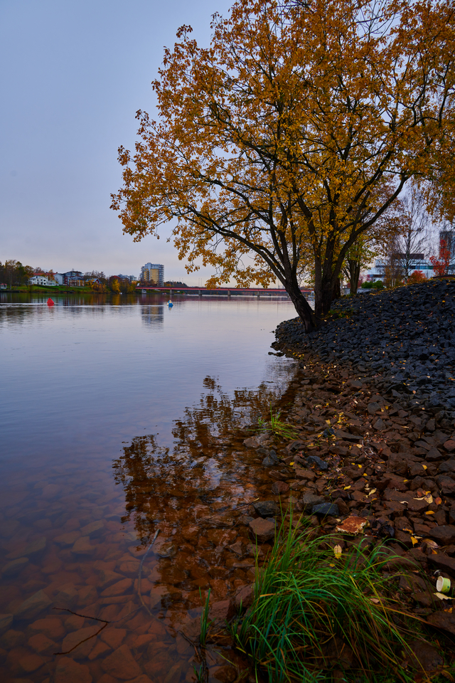 Nikon Z 24-200_19w.jpg