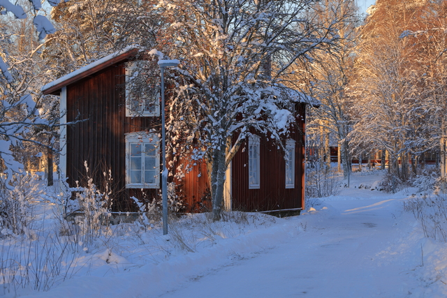 Canon EOS R3_36w.jpg