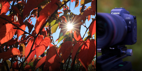 eos_r.jpg