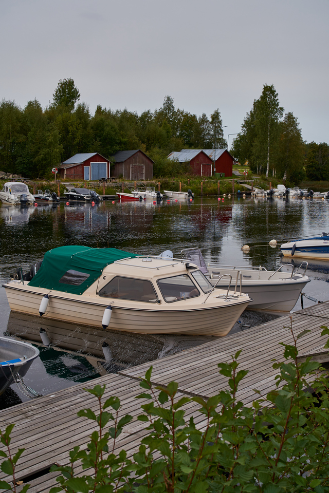 Laowa 33mm Argus_19w.jpg