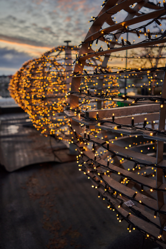 Nikon Z 17-28 f2.8_33w.jpg