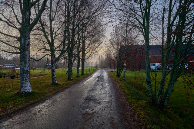 Panasonic 24mm f1.8_7w.jpg