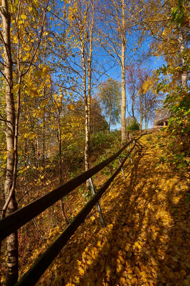 sigma_14 24 2.8_sony_10w.jpg