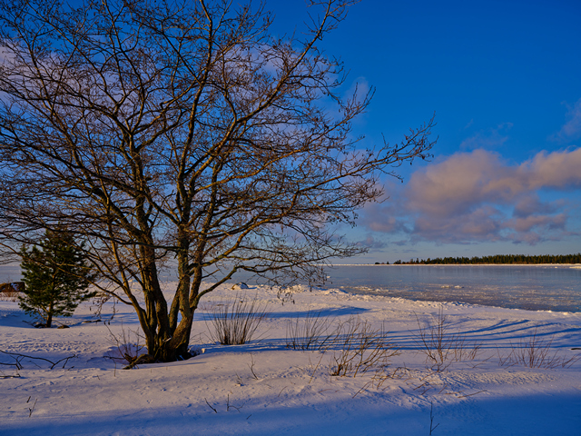 Fujifilm GF 30mm f3.5_4w.jpg