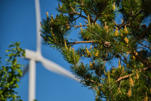 Tamron 17-70 f2.8 XF_16w.jpg