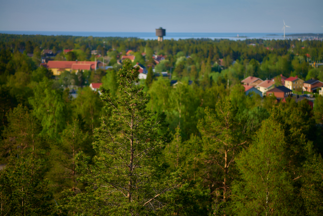 Panasonic S 85 f1.8_3w.jpg