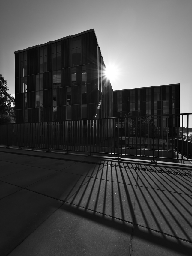 Panasonic GH5 II_11w.jpg