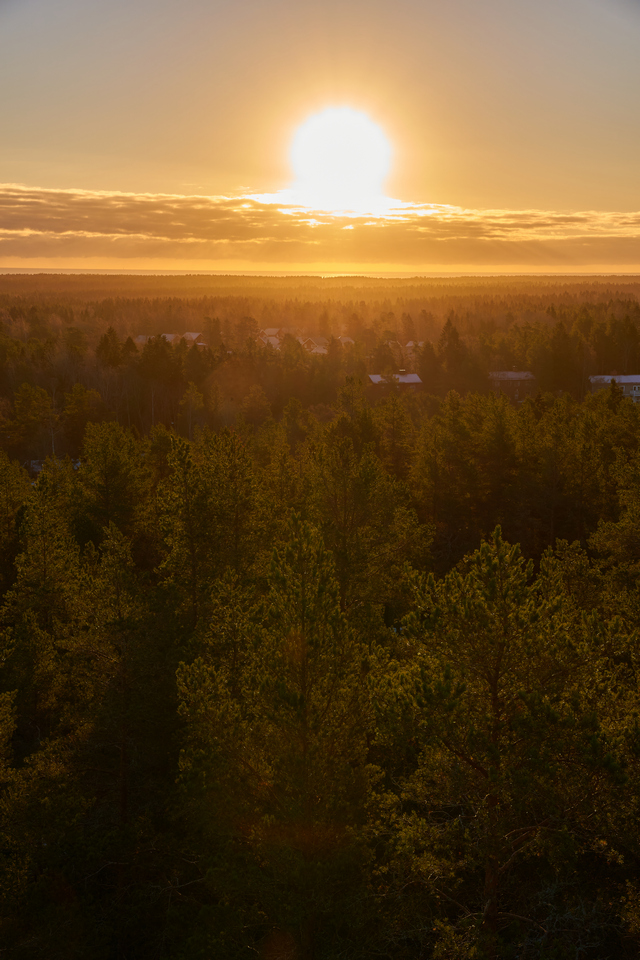 Sigma 18-50 f2.8 Sony_30w.jpg