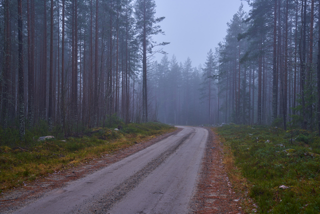 Tamron 28-75mm G2 So_20w.jpg