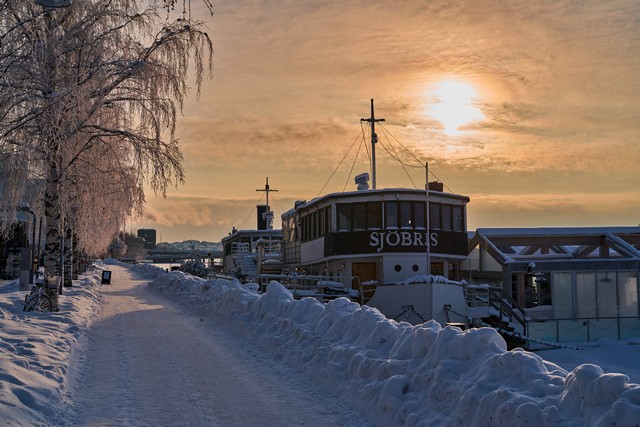 Sony FE 50mm f1.4 GM_27w.jpg