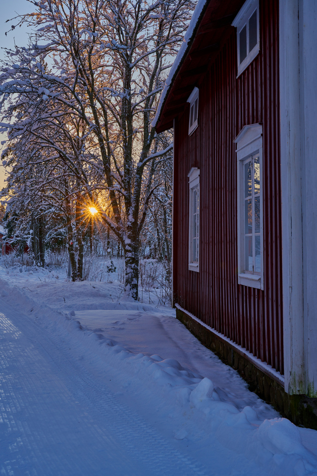 Nikon Z 50 f1.2_2w.jpg