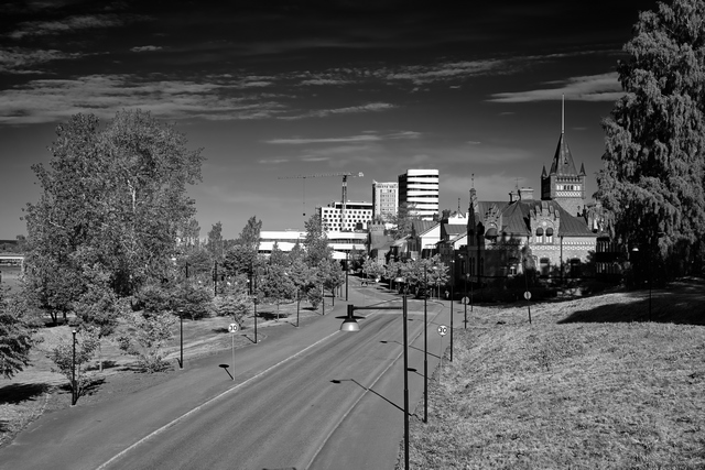 Nikon Z 50mm macro_1w.jpg