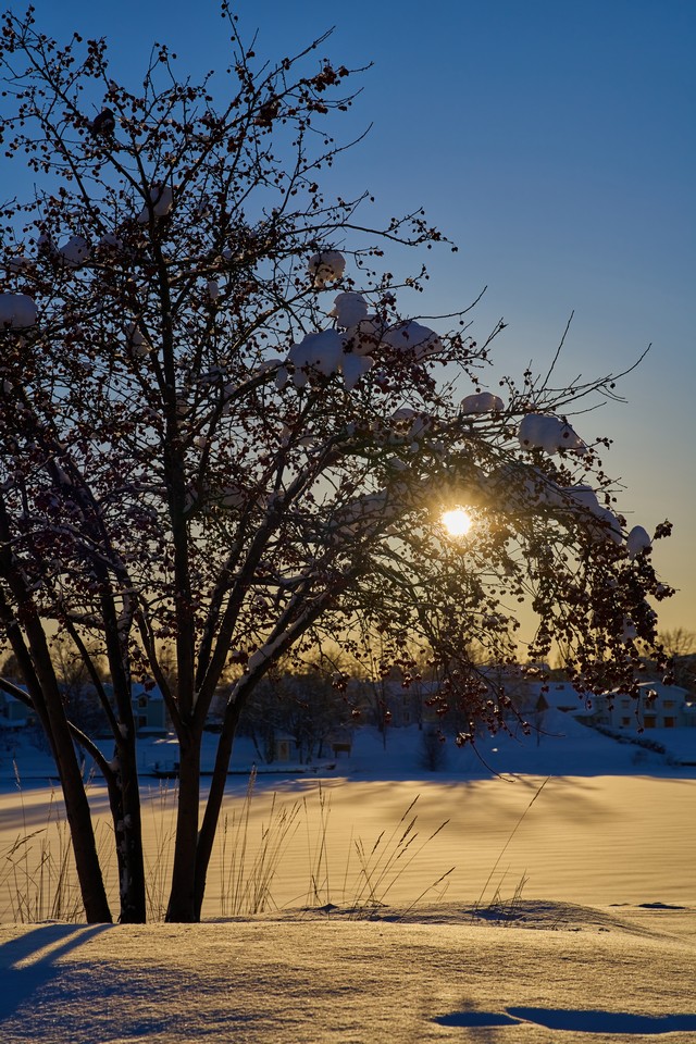 Sony FE 20-70mm f4_11w.jpg