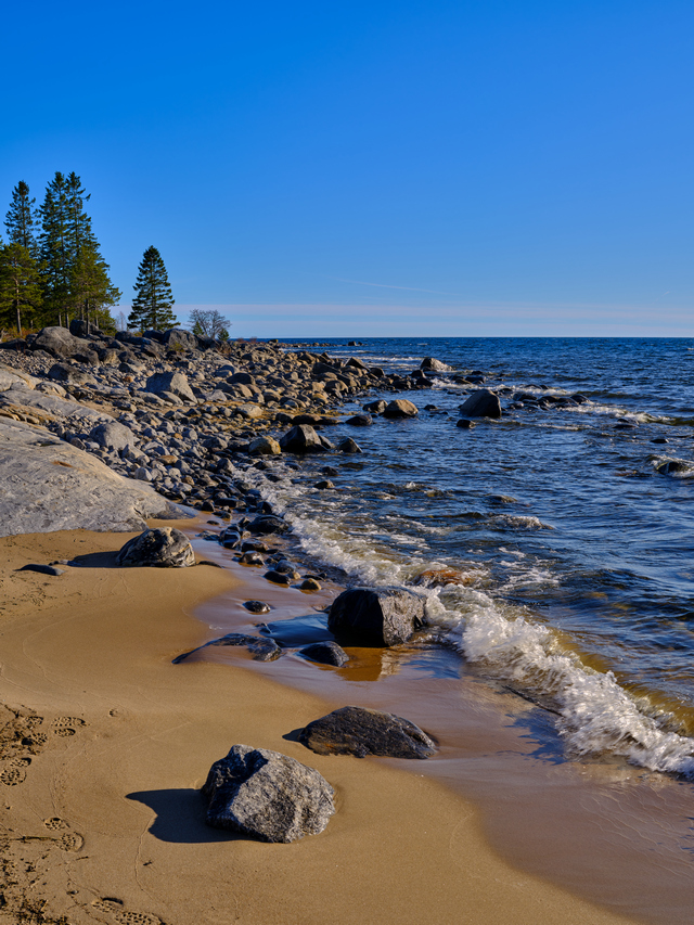 Fujifilm GF 45-100 f4 _7w.jpg