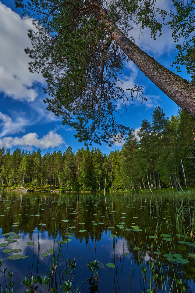 Sony 11mm f1.8_23w.jpg