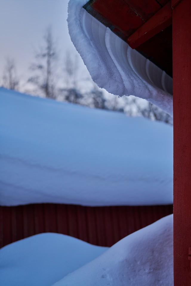 Sony FE 50mm f1.4 GM_9w.jpg