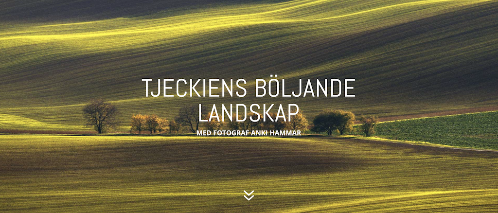 Skärmavbild 2021-04-29 kl. 14.57.10.png