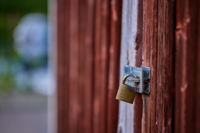 Canon RF 100 macro_21w.jpg