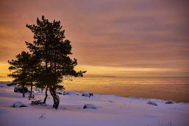 Canon RF 50mm f1.8_8.jpg